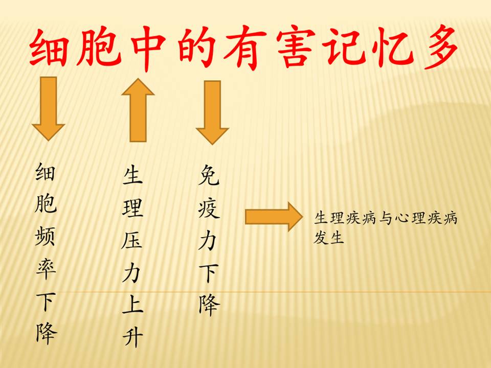 幻灯片27.JPG